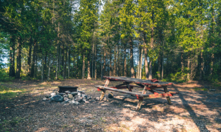 Going Camping? Here’s A List Of The Top 20 Campsites