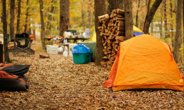 Selecting A Good Campsite