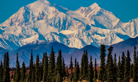 Alaska: A True national Park Experience