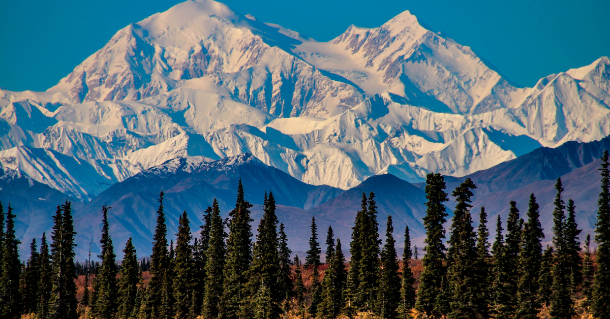 Alaska: A True national Park Experience