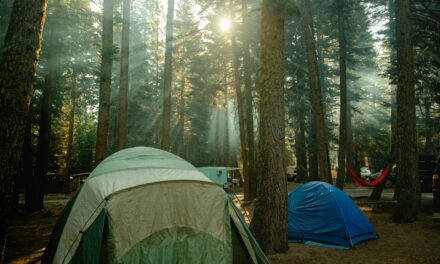 What You Need To Know About Camping In The National Parks