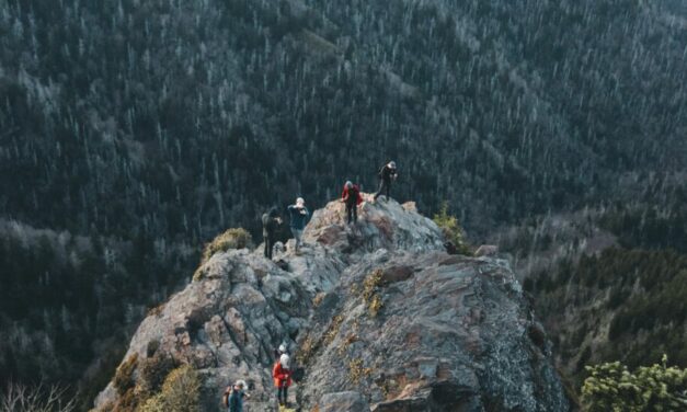 The Ultimate Guide To Hiking In Great Smoky Mountains National Park