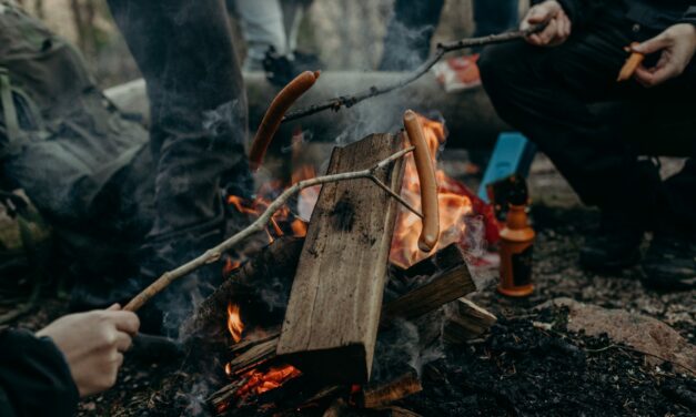 Snacks To Help You Power Through Your Next National Parks Trip