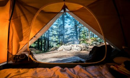 The Ultimate Tent Guide For Your Next Camping Adventure