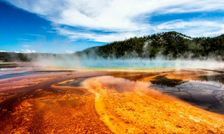 Plan The Yellowstone National Park Trip Of A Lifetime