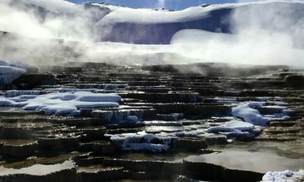 Everything You Need To Know About Hiking In Yellowstone National Park