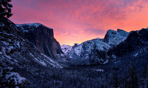 Camping In Yosemite National Park