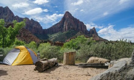 How To Camp In Zion National Park Like A Boss